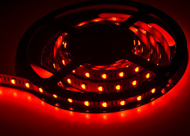 IP20  Dimmable  Flexible  LED  Strip  Lights ,   SMD3528/5050  4.8W  RGB